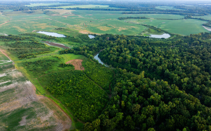 Pictures of Land property located at 000 Dry Rd, Mulkeytown, IL 62865 for sales - image #1
