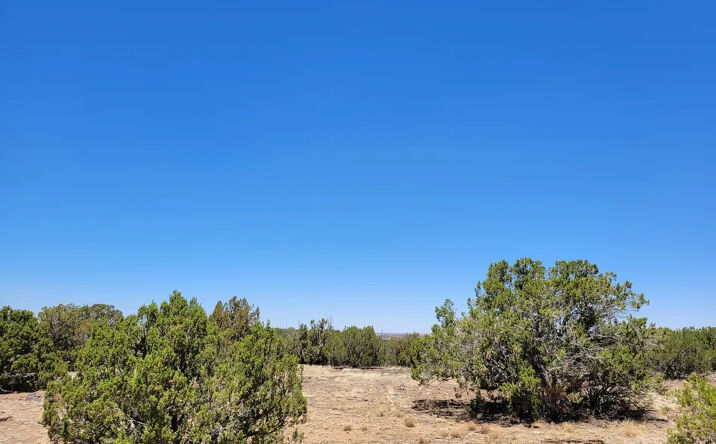 Pictures of Land property located at 8442 Lake Ridge Rd, Show Low, AZ 85901 for sales - image #1