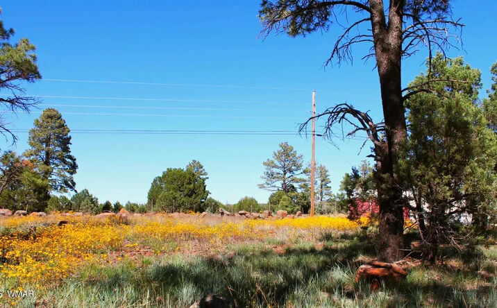 Pictures of Land property located at 2966 Johnson St, Lake of the Woods, AZ 85929 for sales - image #1