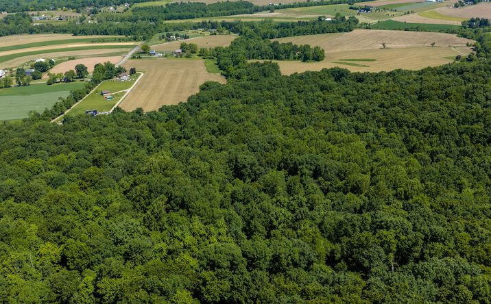 Pictures of Land property located at 0 Rutter Road, Halifax, PA 17032 for sales - image #1