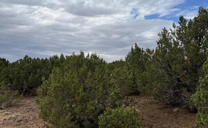 Pictures of Land property located at 8776 Clark Rd, Show Low, AZ 85901 for sales - image #1