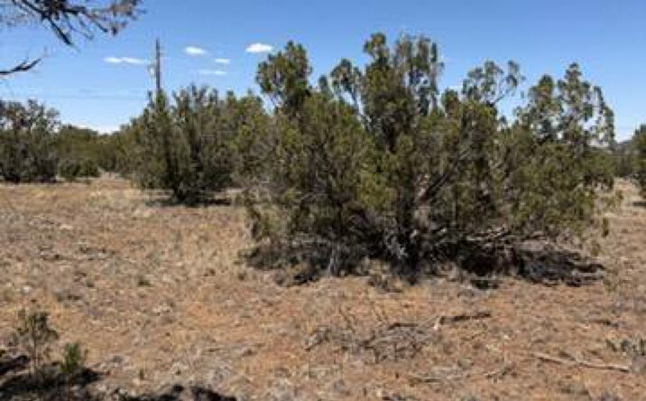 Pictures of Land property located at 8476 Elkhorn Dr, Show Low, AZ 85901 for sales - image #1