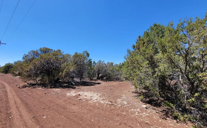 Pictures of Land property located at County Road 3113, Vernon, AZ 85940 for sales - image #1