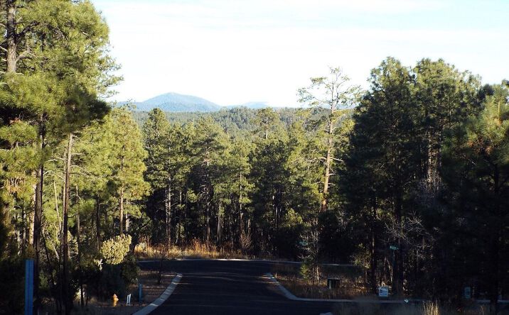 Pictures of Land property located at 2425 S Timber Pine Ln, Pinetop-Lakeside, AZ 85935 for sales - image #1