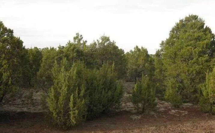 21 County Rd, Vernon