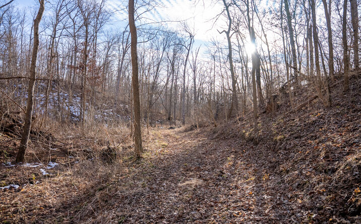 Pictures of Land property located at CR 2950N Ramsey, Ramsey, IL 62080 for sales - image #1
