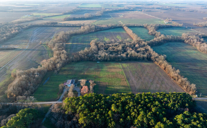 Pictures of Land property located at 000 County Rd 2225 N, Rinard, IL 62878 for sales - image #1