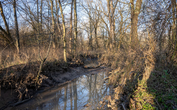 Pictures of Land property located at 000 County Rd 2225 N, Rinard, IL 62878 for sales - image #1