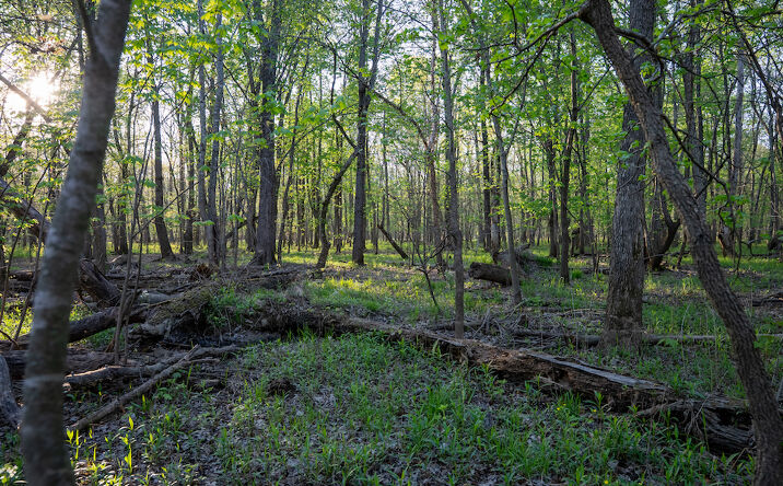 Pictures of Land property located at 0000 US HWY 34, Benton, IL 62812 for sales - image #1