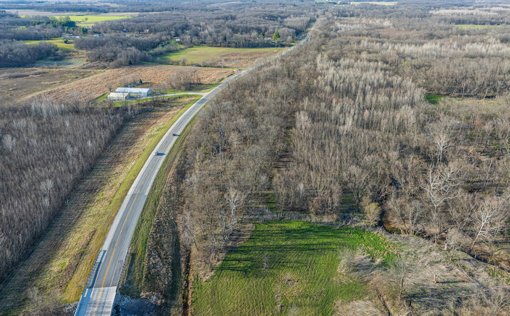 Pictures of Land property located at N Us Hwy 45, Watson, IL 62473 for sales - image #1