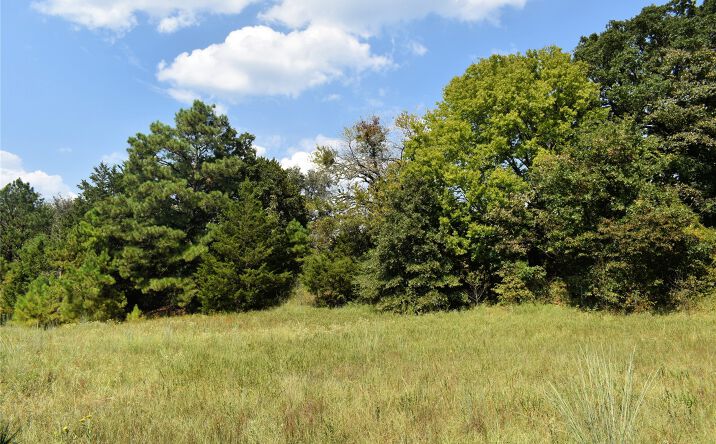 Pictures of Land property located at 52 Peaceful Home Road, Valliant, OK 74764 for sales - image #1