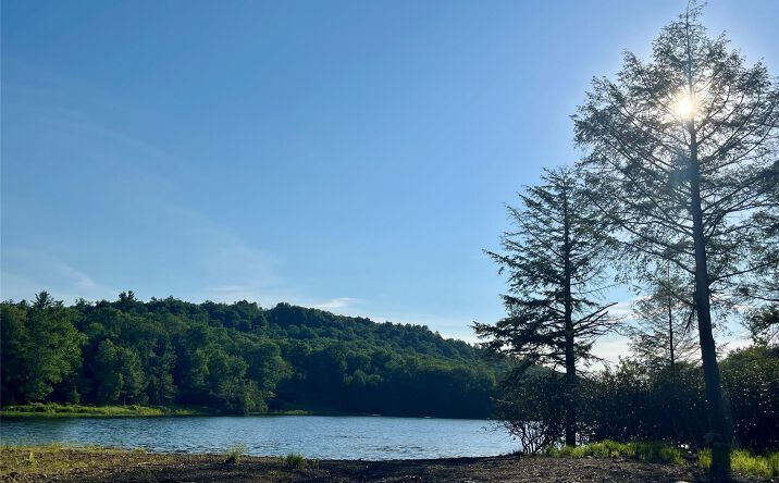 Pictures of Land, Special Purpose property located at 47 Eagles Ridge Way, Parksville, NY 12768 for sales - image #1