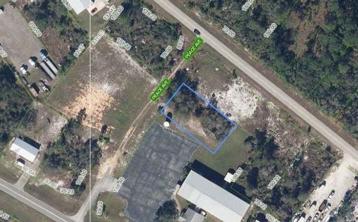 Pictures of Special Purpose property located at 107 Peace Avenue, Lake Placid, FL 33852 for sales - image #1