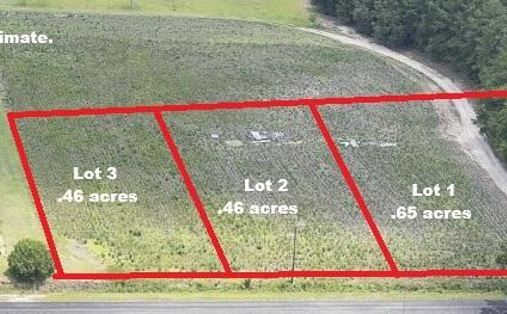Pictures of Land, Multifamily property located at 2 Joseph Lemon And Dingle Road 2, Manning, SC 29102 for sales - image #1