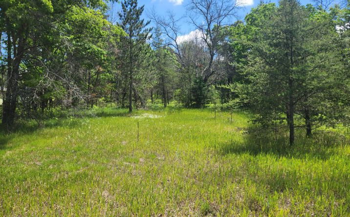 Pictures of Business for Sale, Retail, Office, Industrial, Land, Special Purpose property located at 3496 S Michigan 37, Baldwin, MI 49304 for sales - image #1
