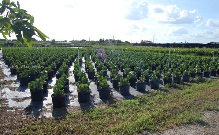 Pictures of Business for Sale, Land, Industrial property located at 13648 SW 177 ave, Homestead, FL 33196 for sales - image #1