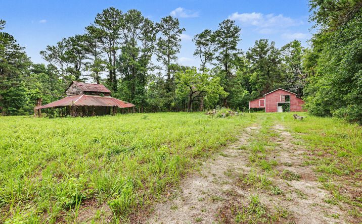 Pictures of Land property located at TBD Mitchell Sea Road, Green Sea, SC 29545 for sales - image #1