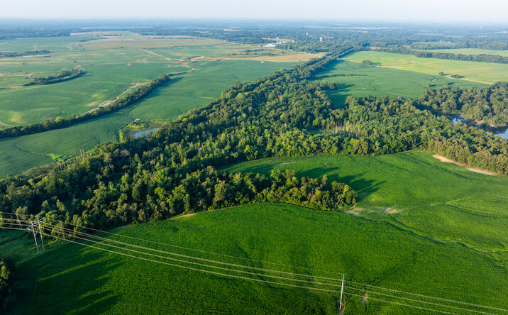 Pictures of Land property located at 0000 Dry Rd, Mulkeytown, IL 62865 for sales - image #1