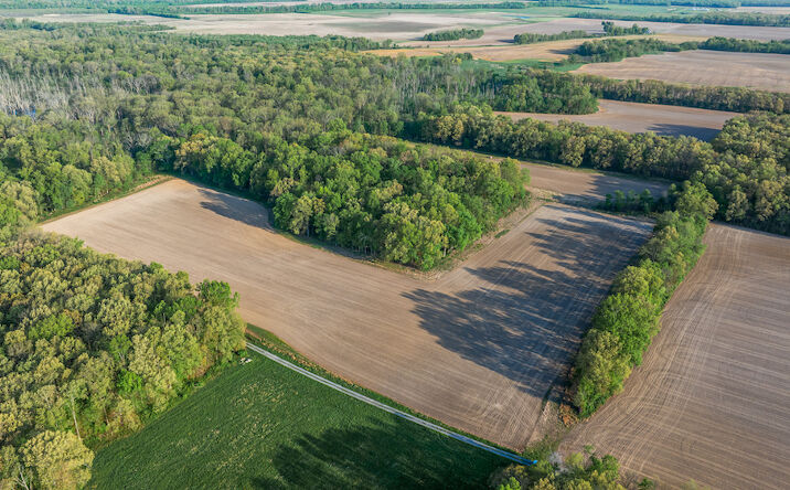 Pictures of Land property located at 000 Big Pond Rd, Mulkeytown, IL 62865 for sales - image #1