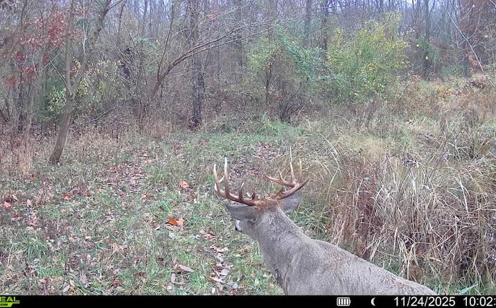 Pictures of Land property located at 000 CR 100E, Keenes, IL 62851 for sales - image #1
