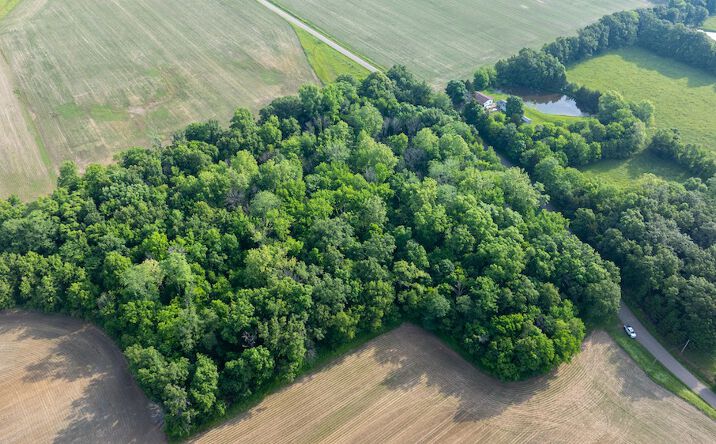 Pictures of Land property located at 000 N St Marie Rd, Calhoun, IL 62419 for sales - image #1