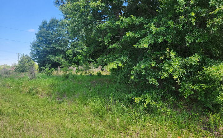 Pictures of Retail, Mixed Use, Land property located at 1950 Holbrook Road, Fort Mill, SC 29715 for sales - image #1