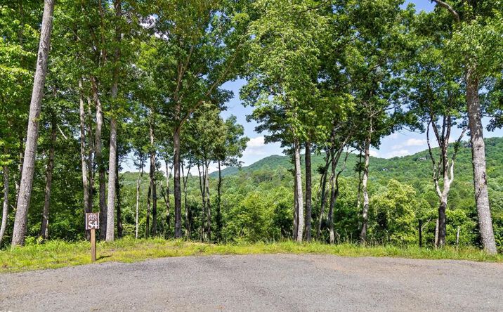 Pictures of Land property located at Lot 54 Hickory Lane, Mineral Bluff, GA 30559 for sales - image #1
