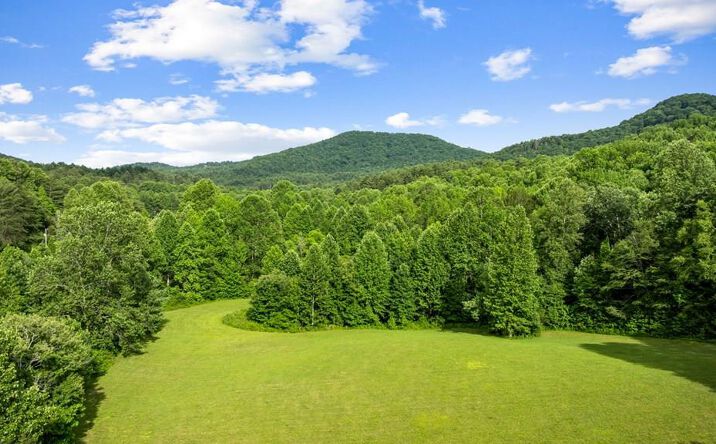 225 Cohutta Ranch Road, Blue Ridge