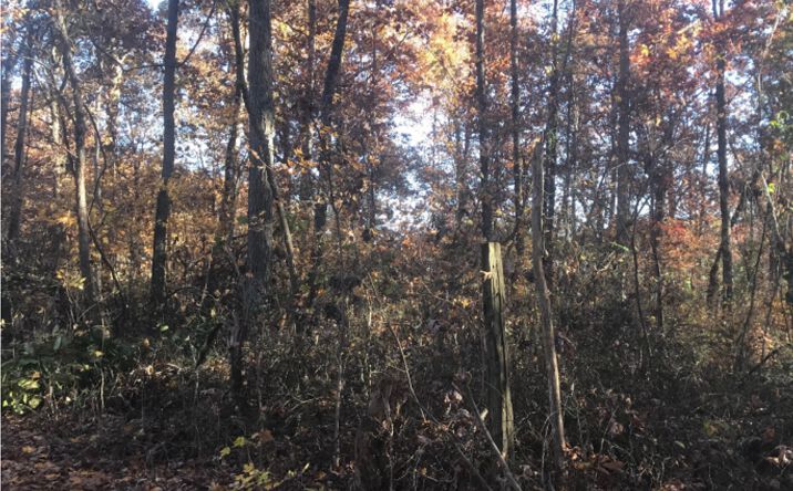 Pictures of Land property located at Howard Road, La Grange, KY 40031 for sales - image #1