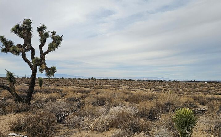 Pictures of Industrial, Land property located at AVENUE L4, PALMDALE, CA 93552 for sales - image #1