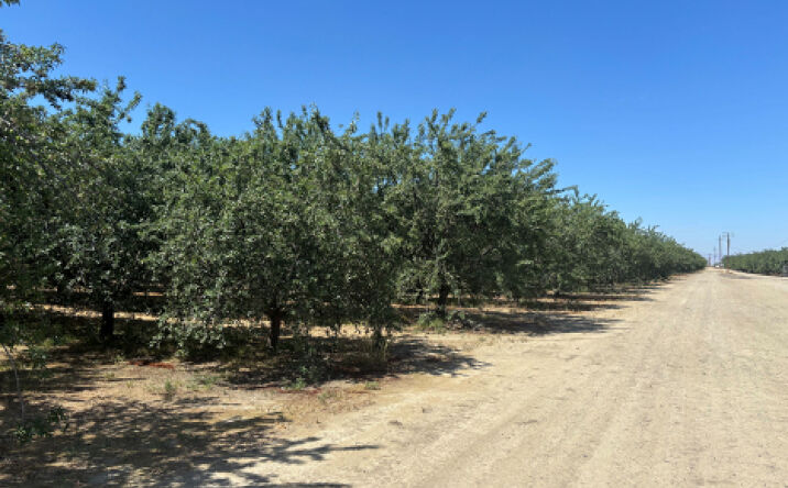 Pictures of Land property located at Shallock Road, Pumpkin Center, CA 93313 for sales - image #1