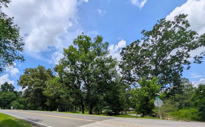 Pictures of Land property located at 15 McLemore Lane, Ringgold, GA 30736 for sales - image #1