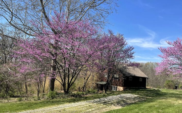Pictures of Land property located at 000 Degerlia Hollow Rd, Hardin, IL 62047 for sales - image #1