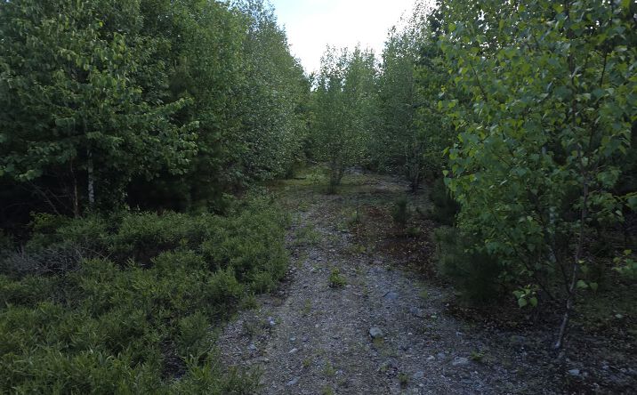 Pictures of Land property located at East Pleasant River Lake Road, Beddington, ME 04622 for sales - image #1