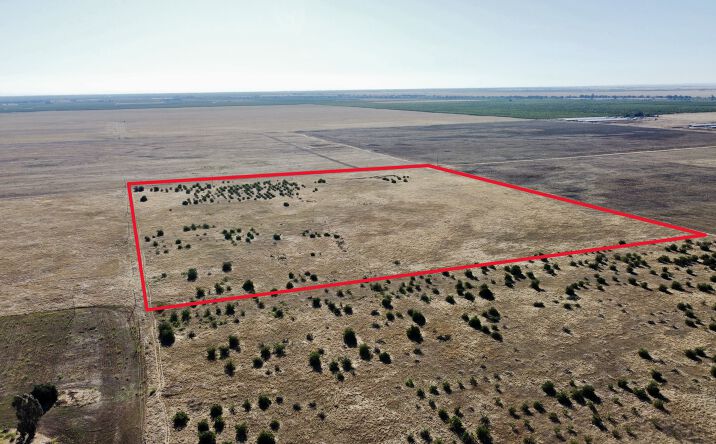 Pictures of Land property located at Road 27, Madera, CA 93638 for sales - image #1