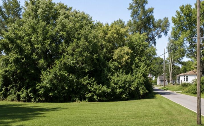 Pictures of Land property located at 14057 Rockdale Street, Detroit, MI 48223 for sales - image #1