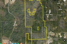 33769083