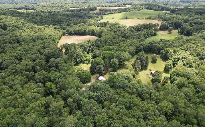 Pictures of Land property located at 11811 Gaston Road, Negley, OH 44441 for sales - image #1