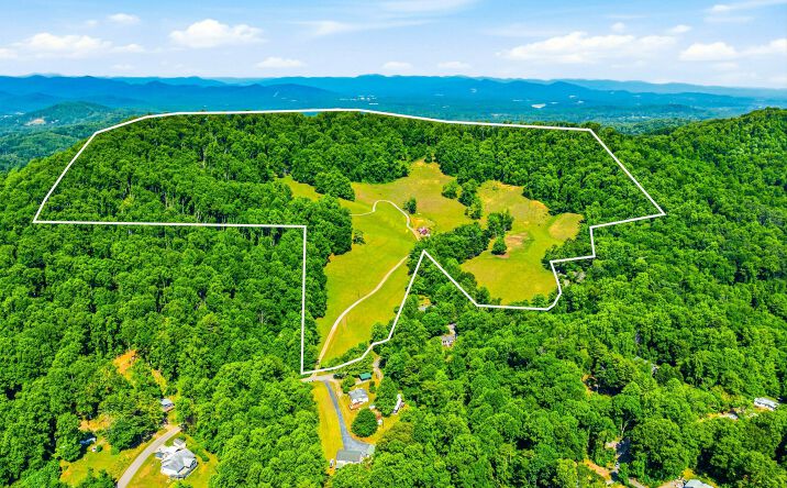 Pictures of Land property located at 52 Chapel Hill Church Road, Asheville, NC 28803 for sales - image #1