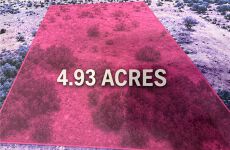 33773752
