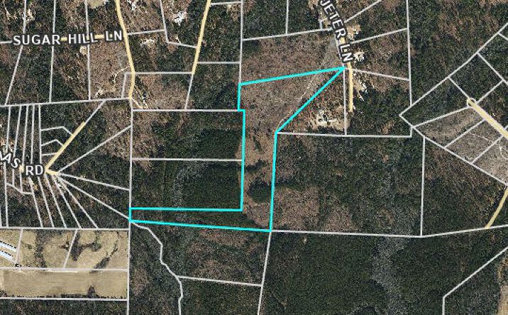 Pictures of Land property located at LIZZIE JETER LN, CAMERON, NC 28326 for sales - image #1