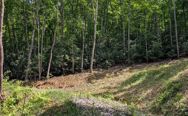 Pictures of Land property located at 000 Pisgah Highway, Candler, NC 28715 for sales - image #1