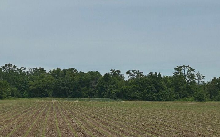 Pictures of Land property located at Browning Road, Greenwood, MS 38930 for sales - image #1