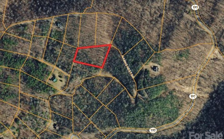 Pictures of Land property located at 000 Hawks Nest Dr, Burnsville, NC 28714 for sales - image #1