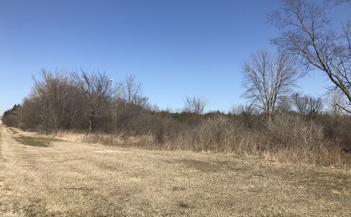 26573 S RIDGELAND Avenue, Monee