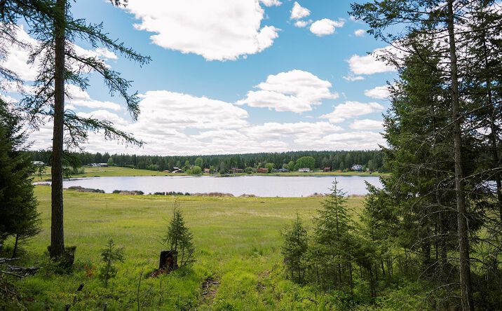 56 Wagon Wheel Road, WHITEFISH