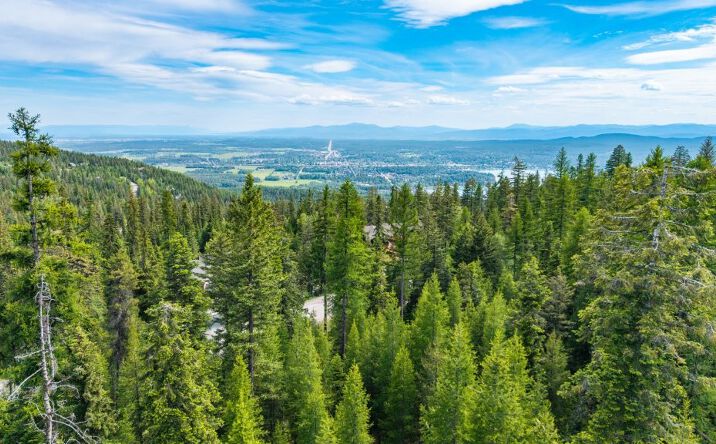 Pictures of Land property located at 211 N Beargrass Circle, WHITEFISH, MT 59937 for sales - image #1