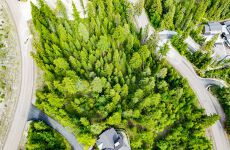 33784677