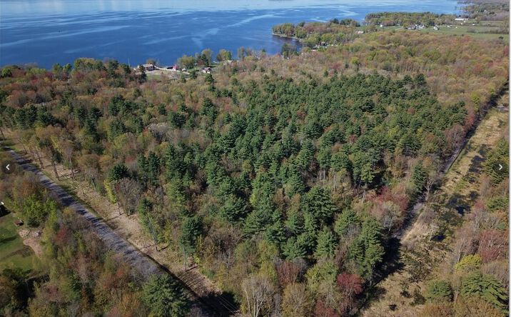 Pictures of Land property located at 0000 State Route 49, Central Square, NY 13028 for sales - image #1