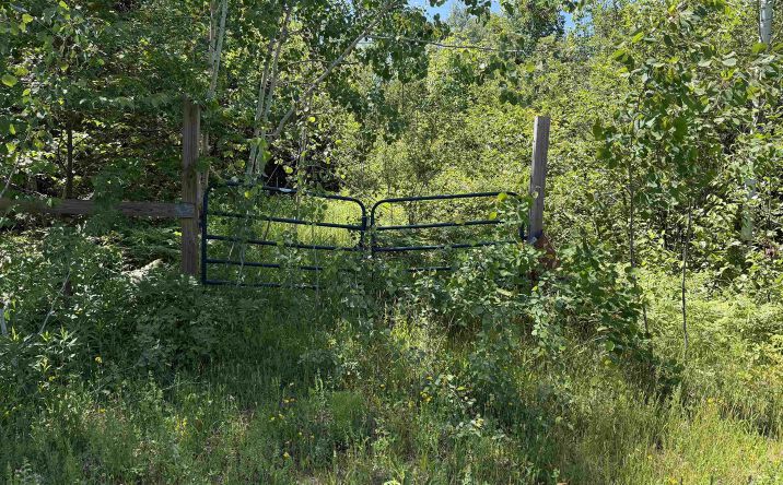Pictures of Land property located at TBD Woodspur, Ontonagon, MI 49953 for sales - image #1